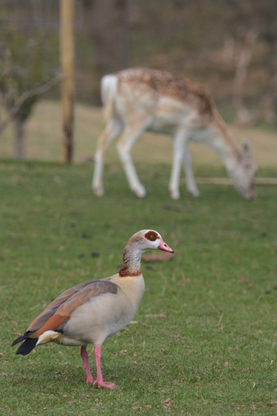 <br><small>Sevenoaks, Kent, UK</small><br><small>April 03, 2022</small>