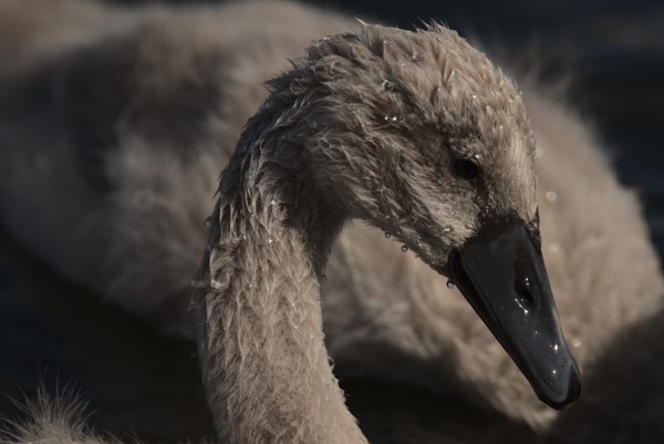 <br><small>Eastbrookend, London, UK</small><br><small>June 19, 2023</small>