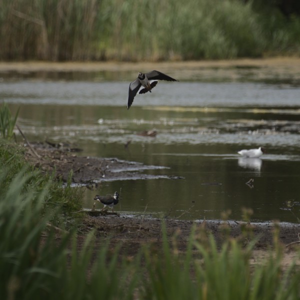 <br><small>Eastbrookend, London, UK</small><br><small>June 19, 2023</small>