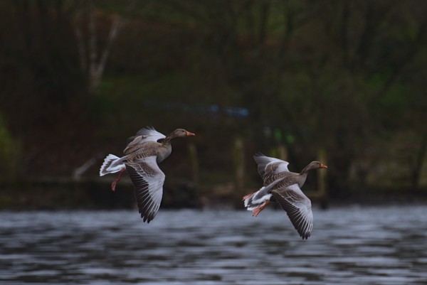<br><small>Keswick, Lake District, UK</small><br><small>April 10, 2023</small>