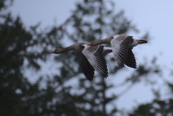 <br><small>Keswick, Lake District, UK</small><br><small>April 10, 2023</small>