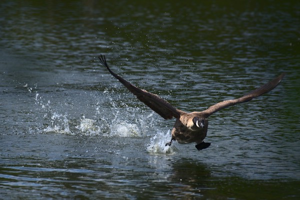 <br><small>Sevenoaks, Kent, UK</small><br><small>August 21, 2022</small>