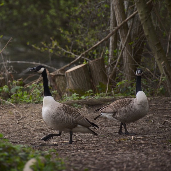 <br><small>Sevenoaks, Kent, UK</small><br><small>April 22, 2023</small>