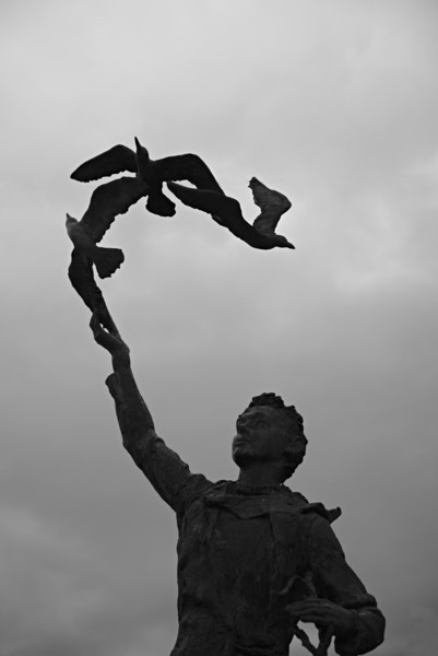 Protect and cherish the natural world around us!<br><small>Dunbar, East Lothian, Scotland, UK</small><br><small>April 16, 2022</small>