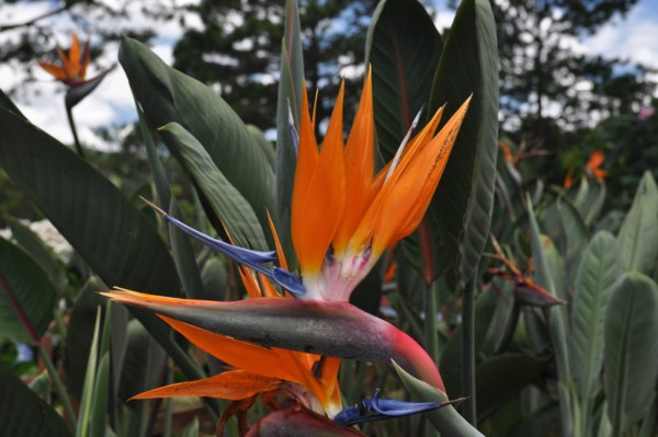 <br><small>July 10, 2013</small>